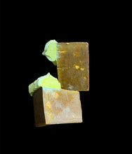 Load image into Gallery viewer, Carrot cake exfoliating slices
